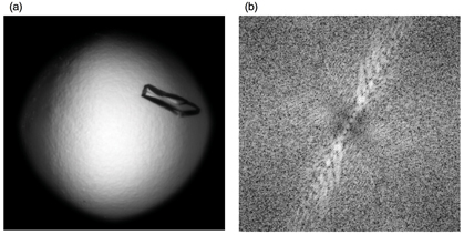  Figure 4: An image with the refined mask is shown in (a) with its Fourier transform showing the "spoke" due to the crystal in (b).