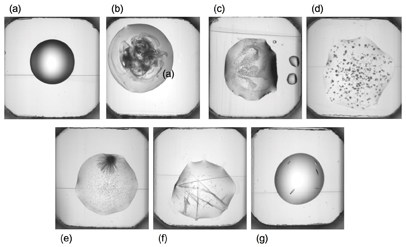 Figure 5: Example images from the seven categories used in classification: (a) Empty drops score 0; (b) drops with denatured protein or other unwanted outcomes score 1; (c) precipitate scores 2; (d) outcomes better than precipitate but non-crystalline score 3; (e) micro-crystals score 4; (f) crystal clusters score 5; (g) single crystals score 6.