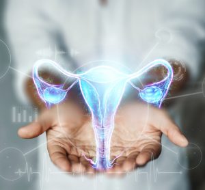 close up of doctor's hands holding a hologram of the uterus - idea of women's health