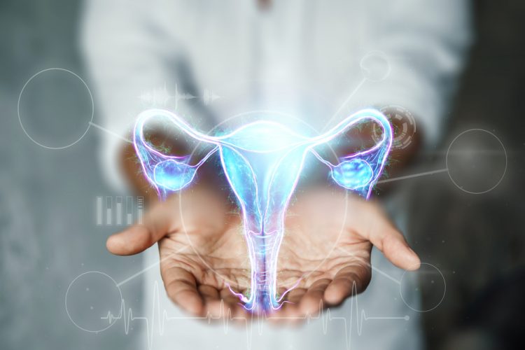 close up of doctor's hands holding a hologram of the uterus - idea of women's health